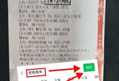 世预赛：土耳其VS格(gé)鲁吉亚今日赛果预測(cè)