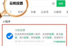 视频投票系统：会议、比赛的秘密武器