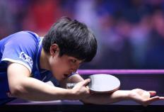 让二追三！法国名将晋级八强，张本智和落寞(mò)