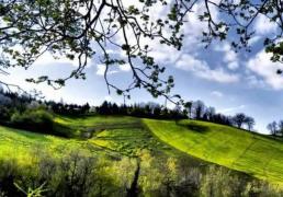 英(yīng)雄联盟四川总决赛全球顶尖战队对决