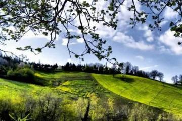 英(yīng)雄联盟四川总决赛全球顶尖战队对决