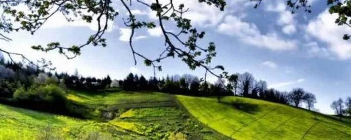 英(yīng)雄联盟四川总决赛全球顶尖战队对决