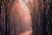 暑期关爱 | 清远妇联暑期关爱活动精彩集锦