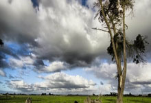 冬奥会资格赛一(yī)触即发