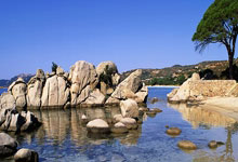 “超级皖”美食争霸赛蚌埠市城市战队选拔赛 比赛结果出炉