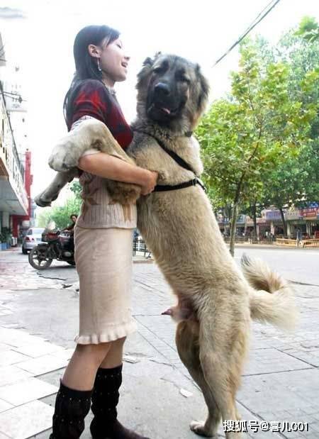 笑(xiào)点爆棚！盘点那些让人捧腹大笑(xiào)的搞笑(xiào)瞬(shùn)间！