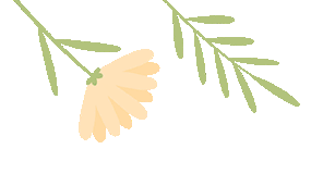 暑期关爱 | 清远妇联暑期关爱活动精彩集锦